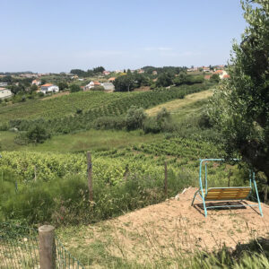 Afbeelding Quinta Laranja